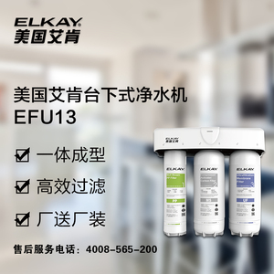 000人付款淘宝艾肯水精灵奶茶店商用净水机大流量无水垢直饮机制冰ro
