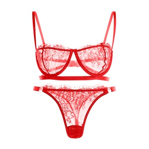 性感文胸情趣透明诱惑