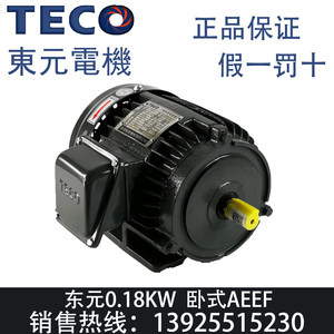 TECO东元电机180W 0.25HP 1/4HP东元马达0.18KW卧式AEEF TEGH63M