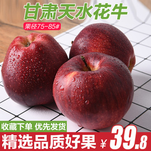 【馋半仙】甘肃天水花牛苹果 新鲜水果红蛇果5斤礼县批发