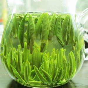 新茶明前茶头茶精品绿茶竹溪箭茶龙王垭茶雨前炒青圣水茶特级灌装