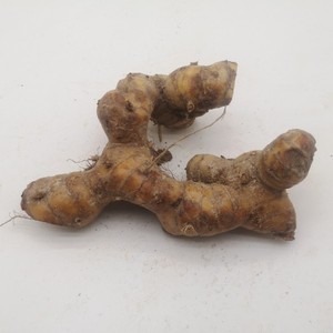 干香茅