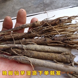 中药材独脚仙茅丝茅独茅根下单现挖当天发货鲜货一斤