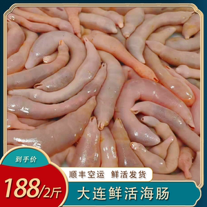 新鲜海肠沙虫