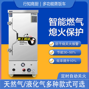 节能液化煤气蒸饭柜车器商用全自动蒸箱食堂天然燃气蒸馒头米饭机