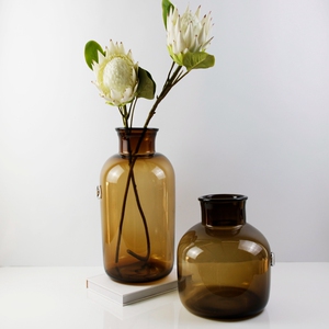 北欧创意棕色大号客厅广口瓶水养插花居家装饰桌面玻璃花瓶工艺品