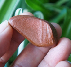 新疆阿勒泰富蕴杜热金丝玉原石螺旋磁性红沙漠漆把件挂件包金吊坠