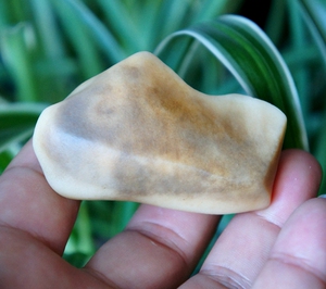 镇原石带螺旋沙漠漆金丝玉把件挂件吊坠093#xuxingqiangx同款货