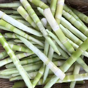 新鲜竹笋尖现挖野生小春笋带壳毛竹水竹山竹笋四川嫩尖小甜笋5斤