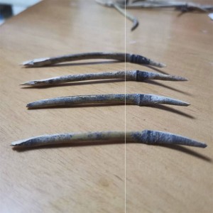 鱼卡竹卡子直钩