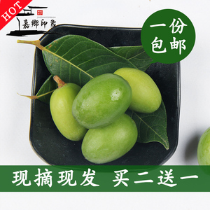 不常见的水果新鲜青橄榄生青果福建特产孕妇宝宝应大果