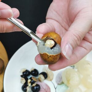 挖龙眼肉神器开挑龙眼去核工具取心器实用剥皮器去核器奇异果家用