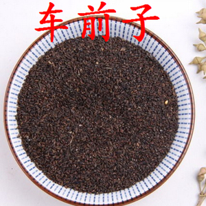 中药材车前子车前草的种子哦500克正品保证满两斤包邮