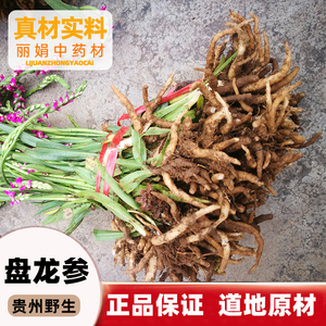 参野生盘龙草龙抱柱镰刀草海珠草龙盘旋鲤鱼草飞龙草食用2人付款235