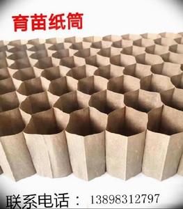 环保链条式蜂窝状育苗纸筒苗木育苗器油菜玉米填土棉花培育培养.