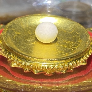 大白伞盖佛母坚固子结缘 8-10mm大颗 装藏舍利塔 嘎乌 28元一颗