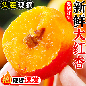现摘陕西胭脂红杏新鲜现摘当季时令农家杏子酸甜孕妇养颜水果包邮