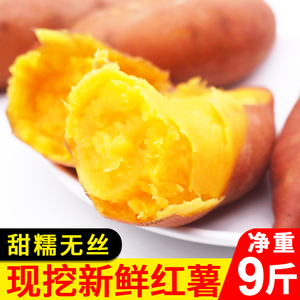板栗红薯新鲜地瓜番薯蜜薯糖心10斤农家自种沙地山东烟薯香薯山芋