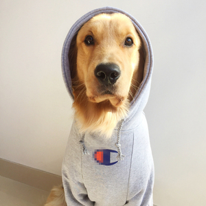 恶搞潮牌宠物大狗衣服狗狗卫衣帽衫金毛哈士奇萨摩耶中大型犬