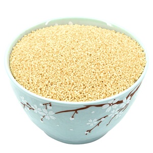 新良谷小米甘肃会宁特产孕妇煮粥营养优质食用黄小米农产品2010g