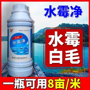 水霉净水霉病专用水霉清鱼用白毛病长白毛水产鱼药水杨酸水产养殖