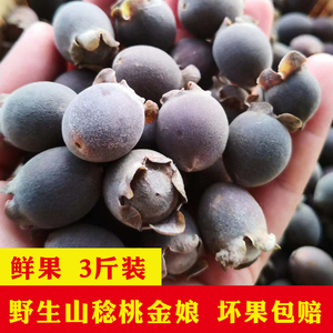 广东新鲜山捻子鲜果桃金娘岗捻多尼果现摘现发可泡酒用3斤包邮