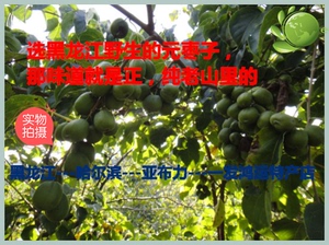 东北野生元枣圆枣子 绿甜枣野生猕猴桃软枣500克2023黑龙江原生态