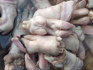 单县新鲜山羊蹄羊蹄生羊肉现杀现发羊杂本地山羊1斤起包邮