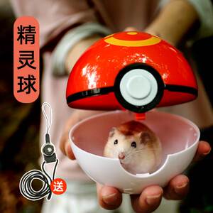 仓鼠跑球滚球运动球金丝熊玩具小用品跑步球跑轮跑道精灵球花枝鼠