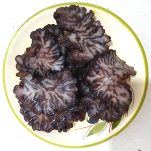 玛咖菌 20-30头猴脑菇 海参菇 松花菌 核桃菌 酒楼食材500g