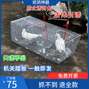 天落笼抓鸽子笼野外自动诱鸽笼捕鸽神器连续只进不出抓鸽工具捕捉