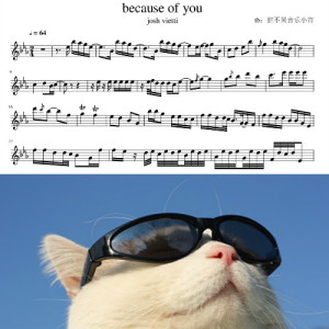 because of you-josh vietti 小提琴谱 独奏五线谱 谱子 乐谱曲谱