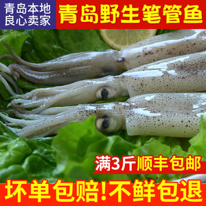 餐饮生鲜 水产海鲜 软体类 新鲜笔管海兔