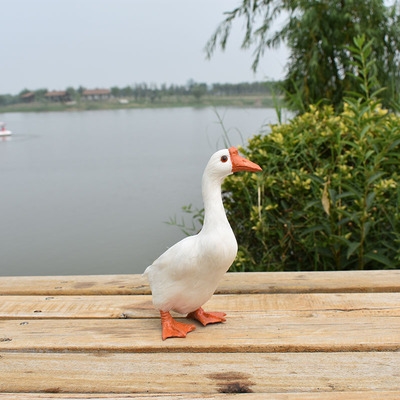 本本庭真标林羽大日鹅模园摆家毛鹅物鸡仿a拍型鹅件院白鸭禽动真
