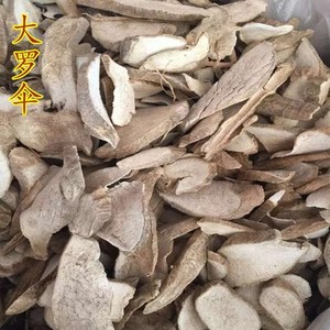 中药材 精选正品 玉郎伞 大罗伞 500克包邮山大颜山大刀 木肚端
