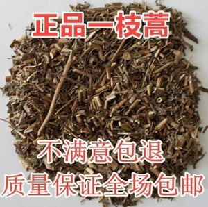 蜈蚣草中药