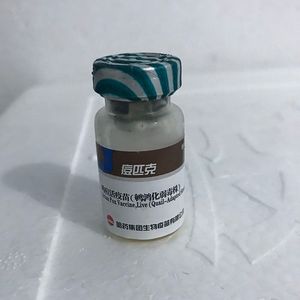 鸡鸽子疫苗鸡痘鹌鹑化弱毒株痘匹克哈药送刺针整盒价十瓶包邮
