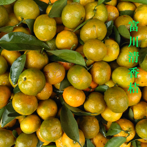 已售罄,特产纯甜青香桔比沙糖橘甜青皮蜜桔香丑柑越南清香橘10斤