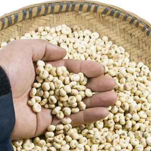 【尖贝中药】尖贝中药品牌,价格 - 阿里巴巴