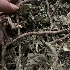 干品500克包邮矮陀陀小芙蓉中药材矮陀陀 金丝矮陀陀 白花矮陀陀