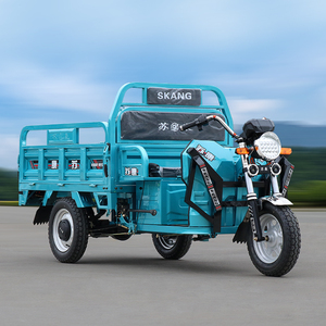 电动三轮车家用拉货农用车成人电三轮载重爬山王国标电动车电瓶车