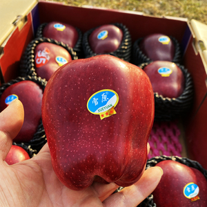 雪原天水花牛苹果新鲜水果红蛇果85#大果单果400克以上净重10斤