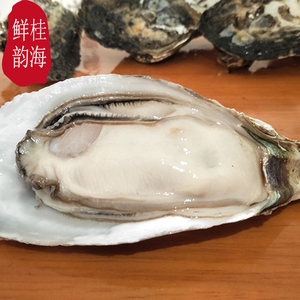 广西钦州 生蚝大蚝牡蛎大蚝之乡海蛎子水产新鲜现捞现发 顺丰包邮