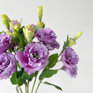 junjun仿真花 桔梗花 客厅玄关现代插花高品装饰花 单支 紫色花材