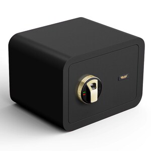 德凌家用保险柜小型迷你办公保险箱指纹隐形全钢入墙防盗25cm