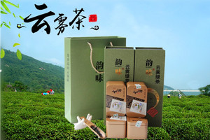2022新茶上市连云港花果山特产云雾茶嫩芽毛尖高山绿茶礼盒装