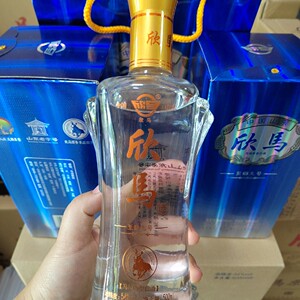 【山东东营特产】馬场酒欣马54度马场香型纯粮精酿质量优480一箱