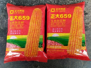 正大玉米种