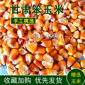 玉米 甘肃农家自种玉粒米苞米老品种黄玉米爆米花杂粮打浆1斤包
