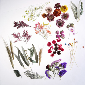 干花画diy
